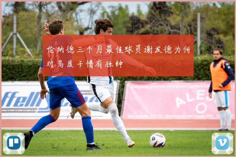 伦纳德三个月最佳球员谢泼德为何对乌度卡情有独钟