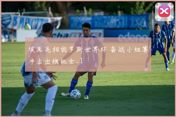 埃及亮相俄罗斯世界杯 备战小组赛冲击出线机会_1