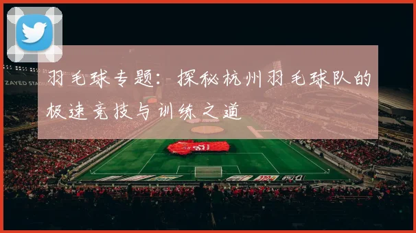 羽毛球专题：探秘杭州羽毛球队的极速竞技与训练之道