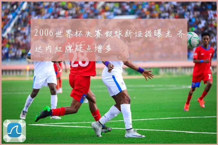 2006世界杯决赛假球新证据曝光 齐达内红牌疑点增多